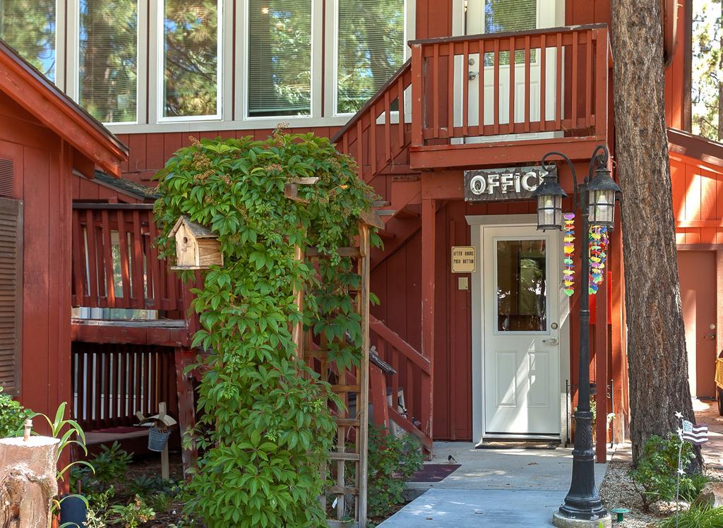 Timber Haven Lodge Биг Бэар Лейк Экстерьер фото